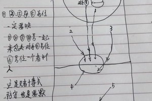 如何设计适合初学者的篮球盖帽训练课程:从基础到精通